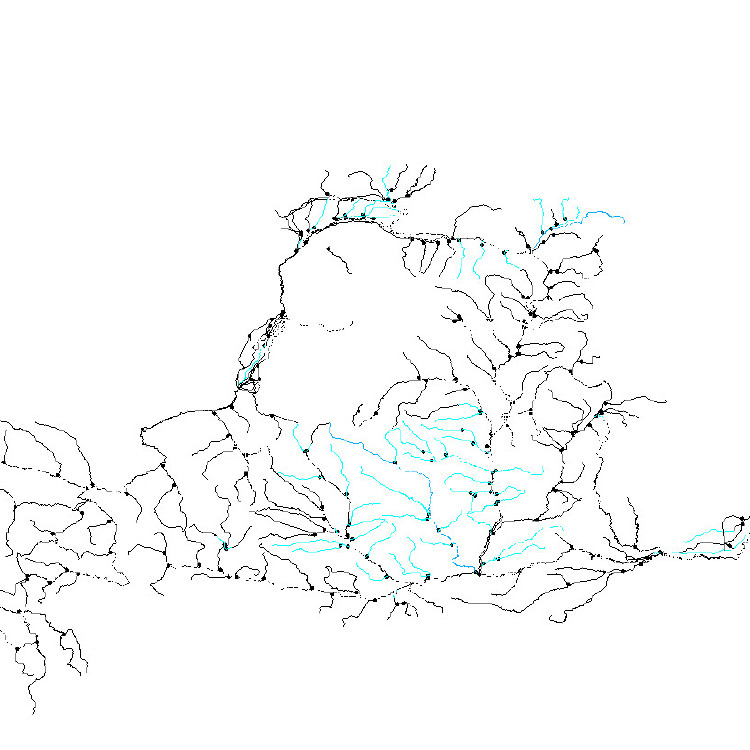 黄河流域水系详细分布数量数据