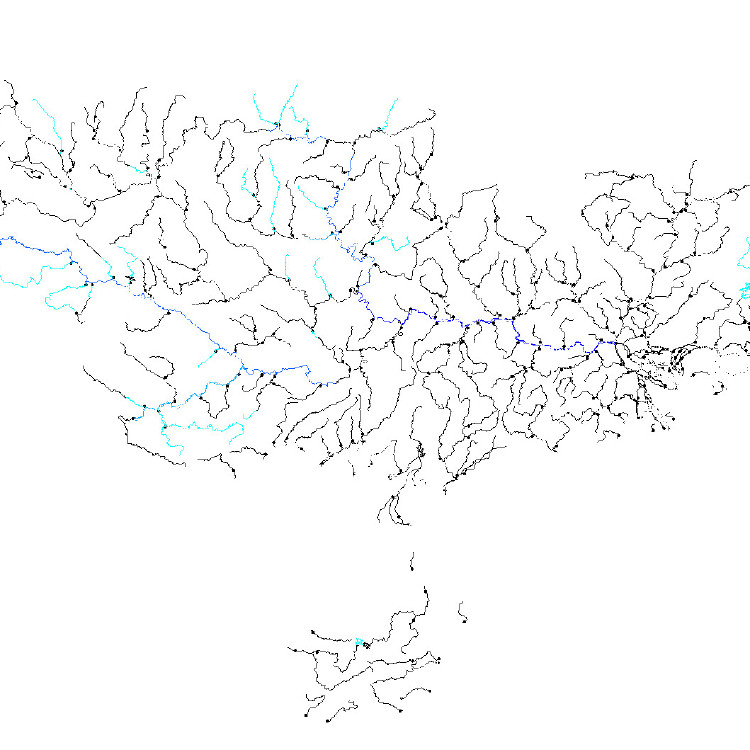 珠江流域1-8级水系详细分布数量数据