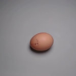 破蛋和未破蛋的分类数据集162张