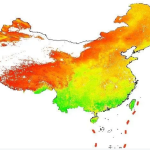2004年中国区500m分辨率NPP数据