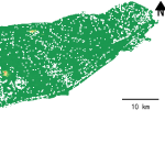 江苏省南通市海门区的alos卫星12.5mDEM数据