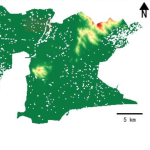 江苏省南京市高淳区的alos卫星12.5mDEM数据