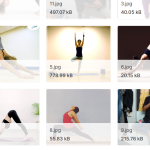 共2900张瑜伽姿势图片数据集（下犬式、树式、女神式、战士式1、战士式2和山地式）