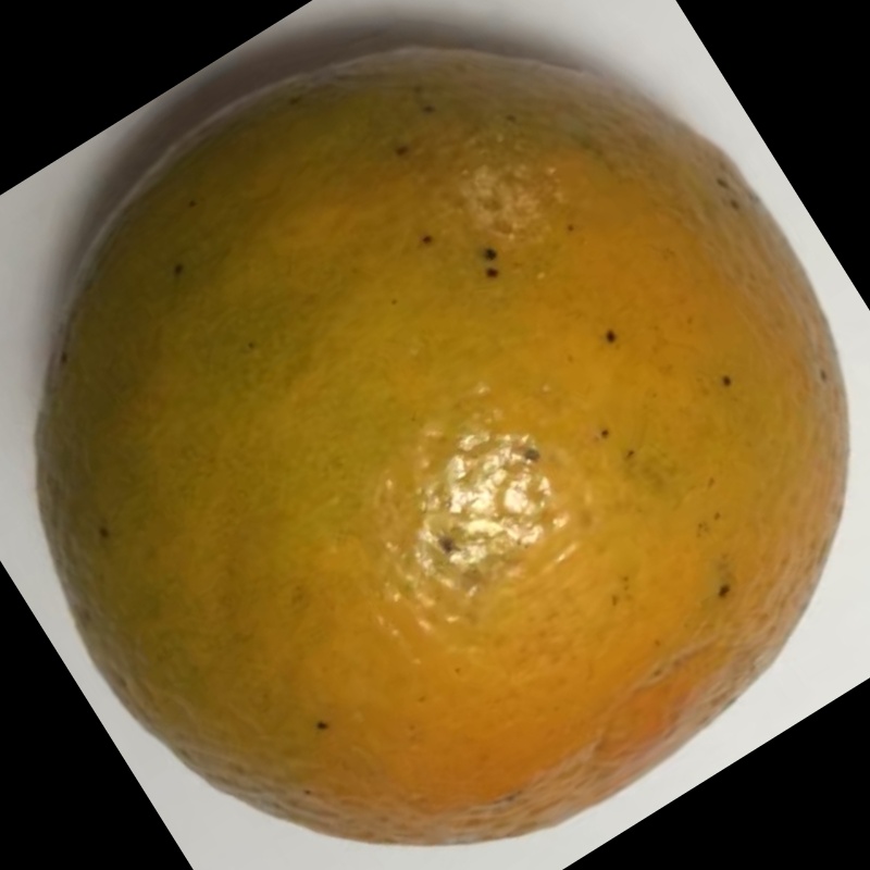 柑橘类疾病图像分类数据集，包含柑橘溃疡病和黑斑病，每类1200张图片左右