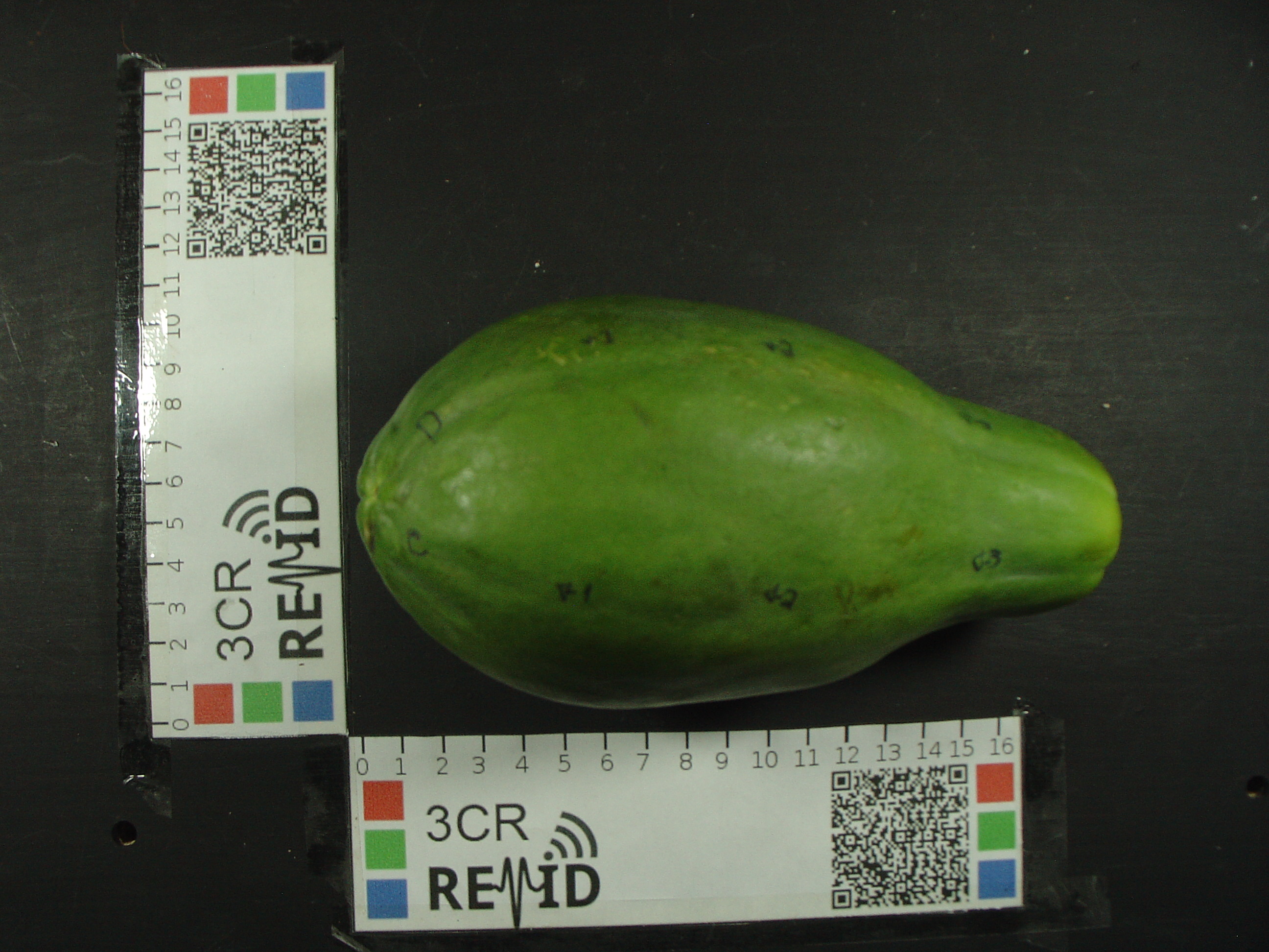 木瓜成熟度图像识别数据集，实验共使用了57种水果的130个样本。这些果实可分为三个成熟期(EM1、EM2和EM3)。有些图像有多个采集，拥有多个图像。