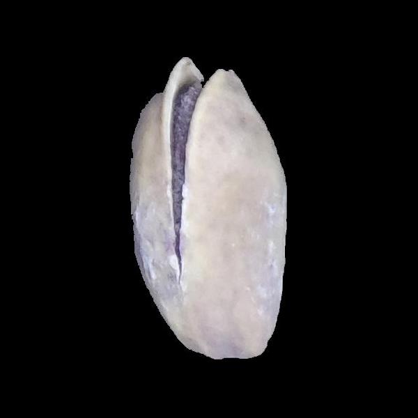 开心果图像数据集,该数据集共包含2148张图片,其中Kirmizi的1232张和Siirt P的916张。