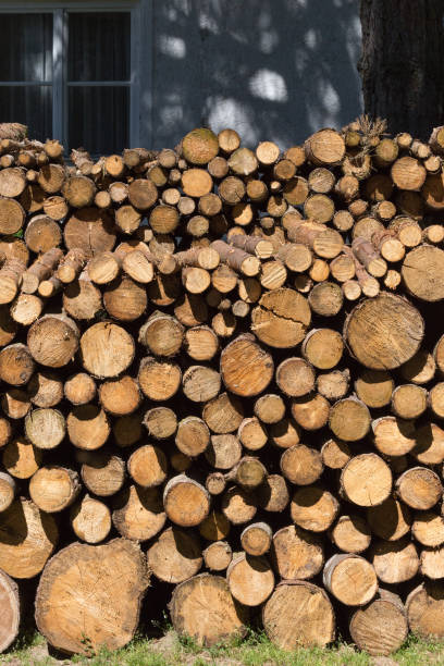 伐木场堆放原木计数分类数据集,共248张图片,该数据集有2个文件,一个用于图像,第二个用于注释。标签文件夹是yolov7的带注释的数据