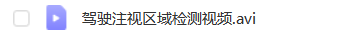 驾驶注视区域检测视频