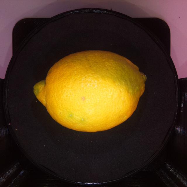 lemon_homework,领航团图像分类作业-柠檬分类