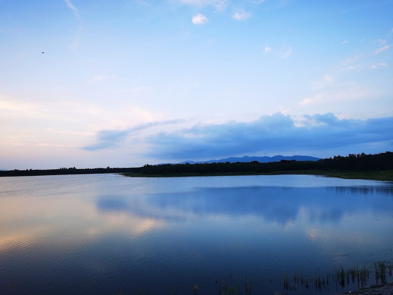 黑龙江省_绥化市_青冈县-2021年水体分布矢量数据