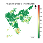 广东省珠海市金湾区的alos卫星12.5mDEM数据