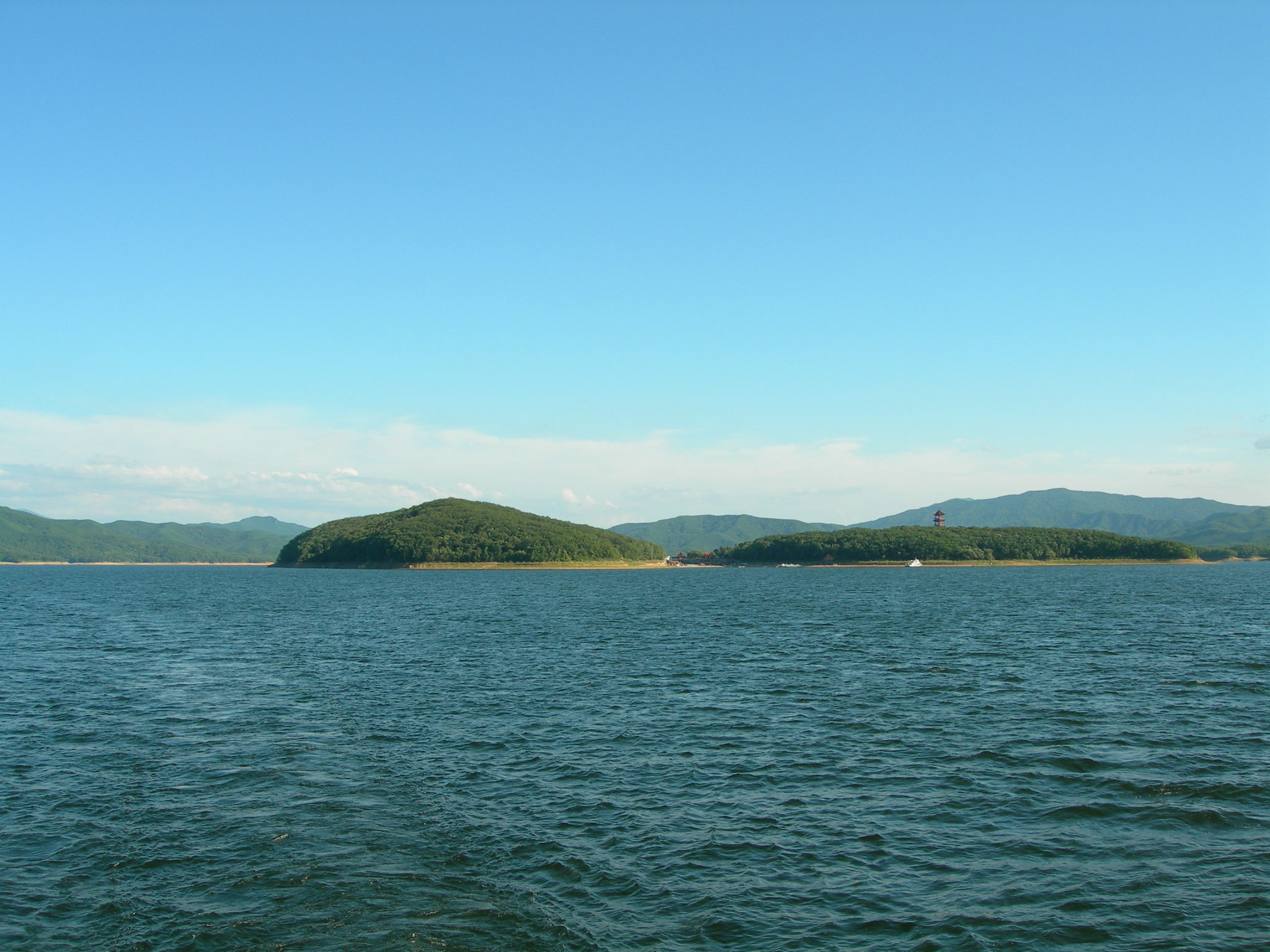 吉林省_白城市_大安市-2021年水体分布矢量数据