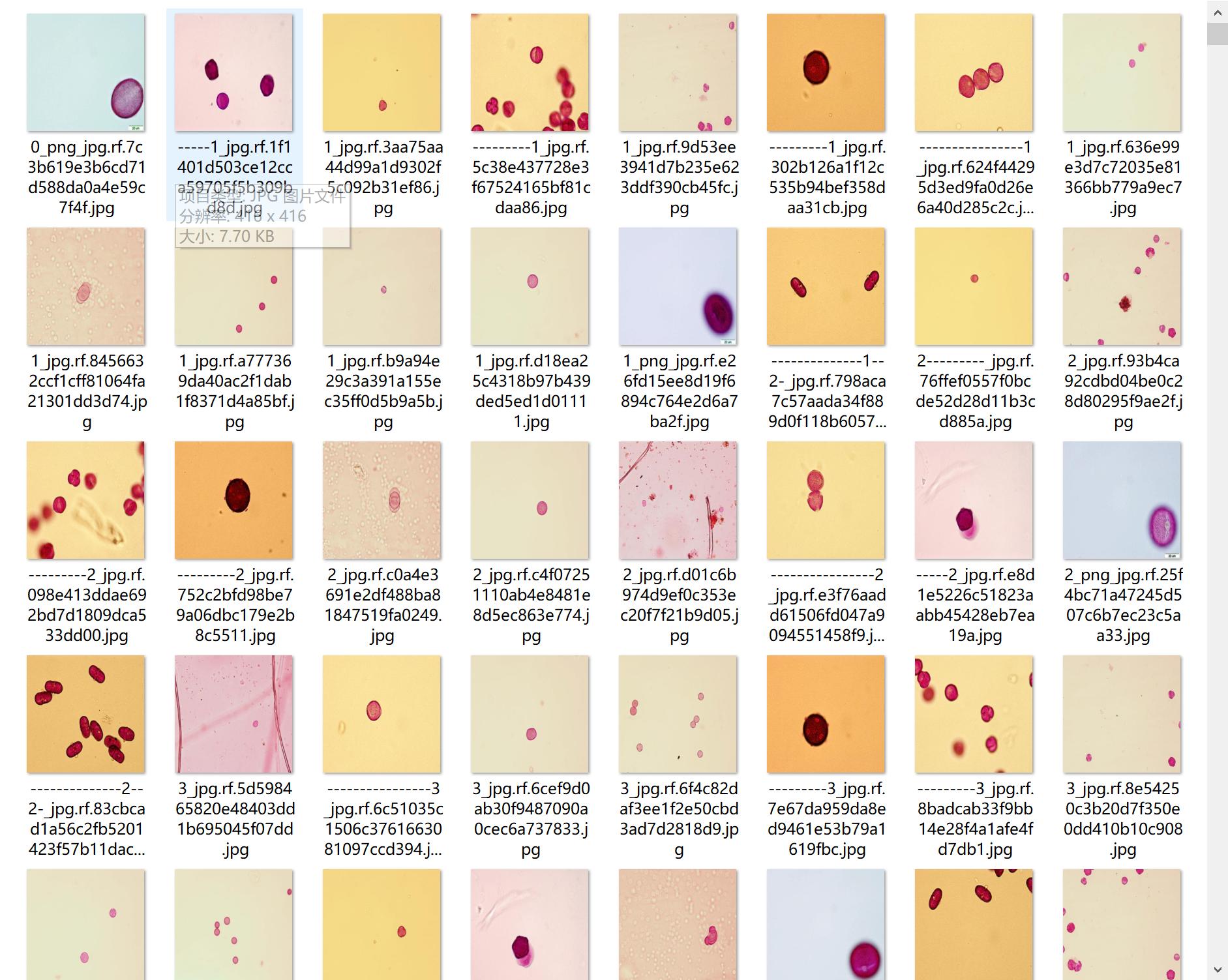 20种花粉数据集(7750个花粉粒) 注释用于检测