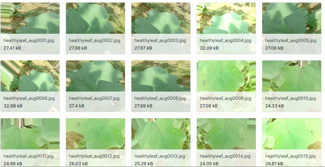 茄子病害识别数据集