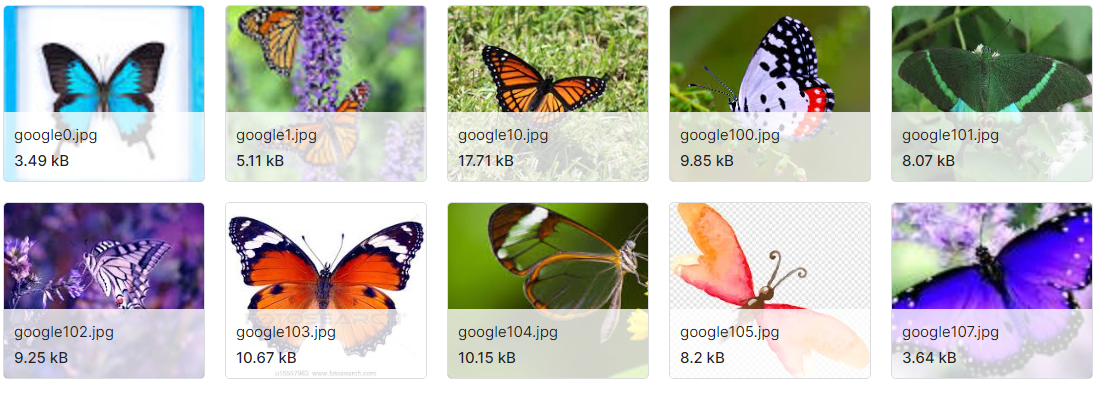 昆虫识别图像数据集