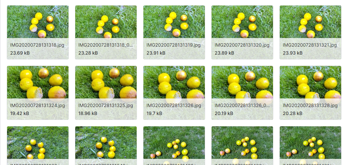 水果品质分级数据集