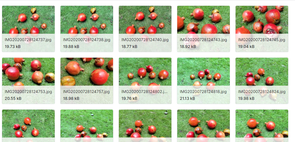 FruitNet印度优质水果数据集