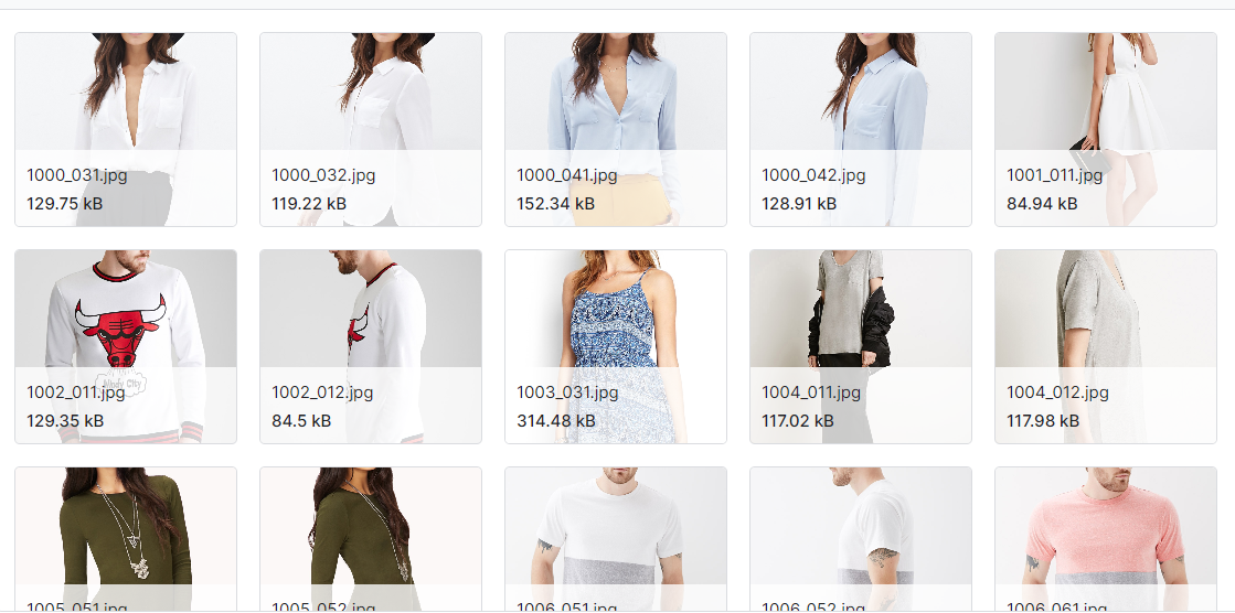 店内服装检索基准的重新组织和重新标记版本数据集