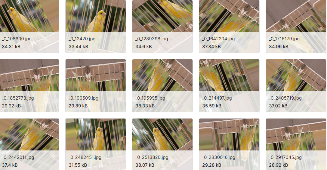 每种鸣禽的图片增强数据集