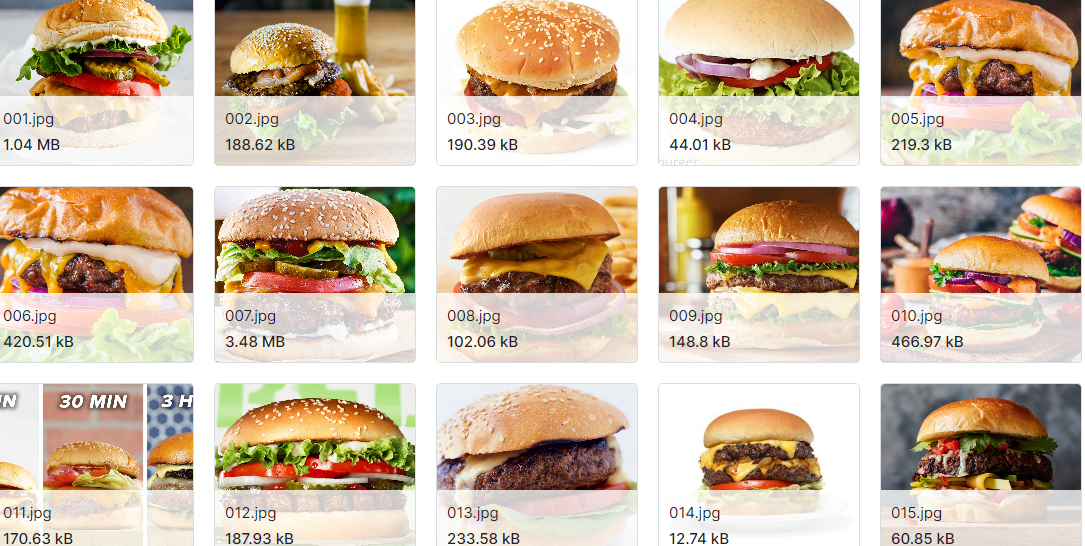 食品分类数据集