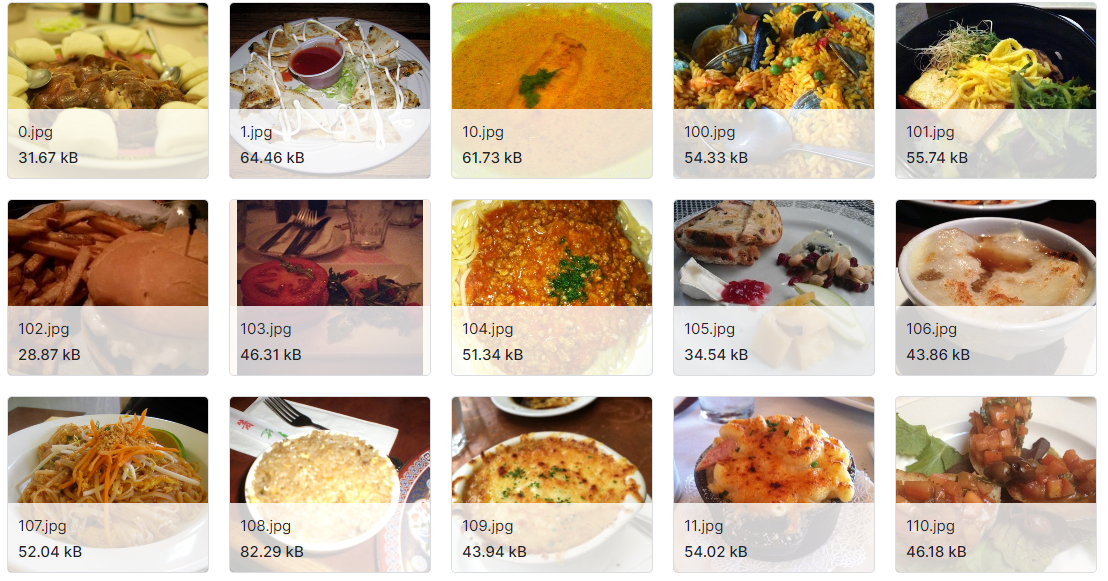 食品和非食品图像数据集