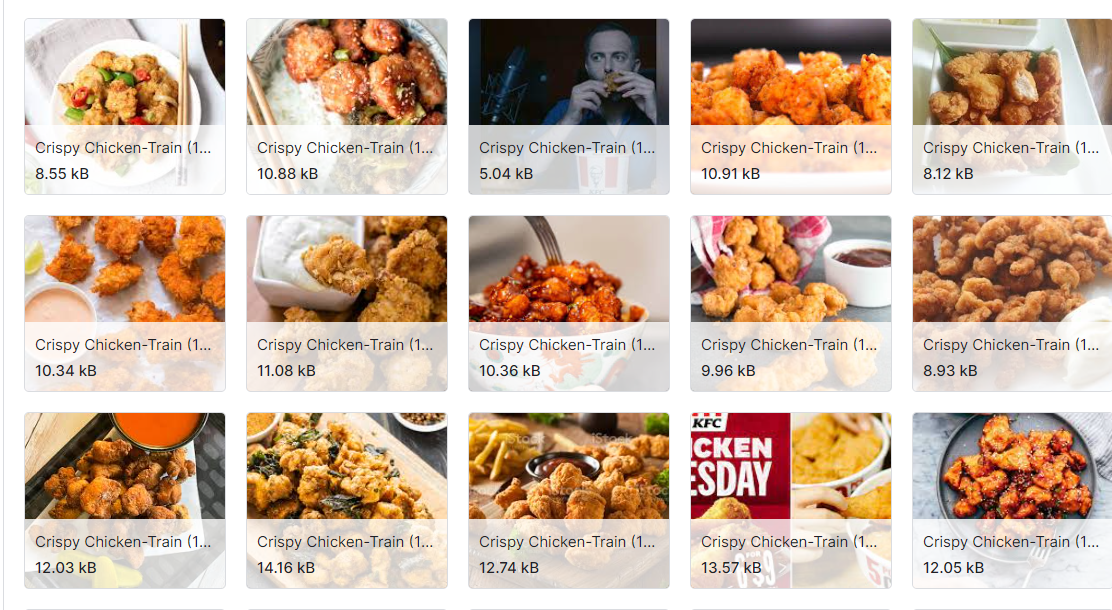 食品图像分类数据集