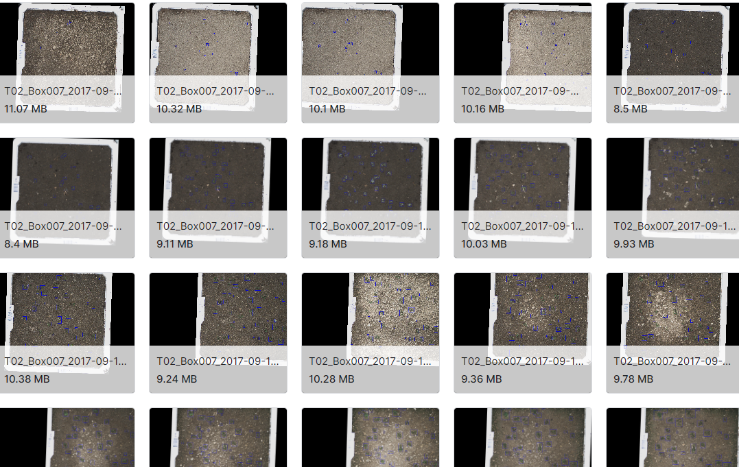 144张带有精确植物分割遮罩的图像数据集