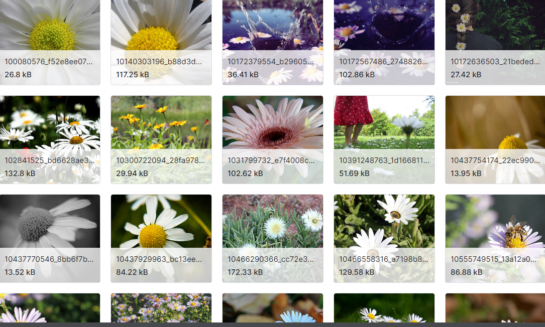 鲜花识别数据集