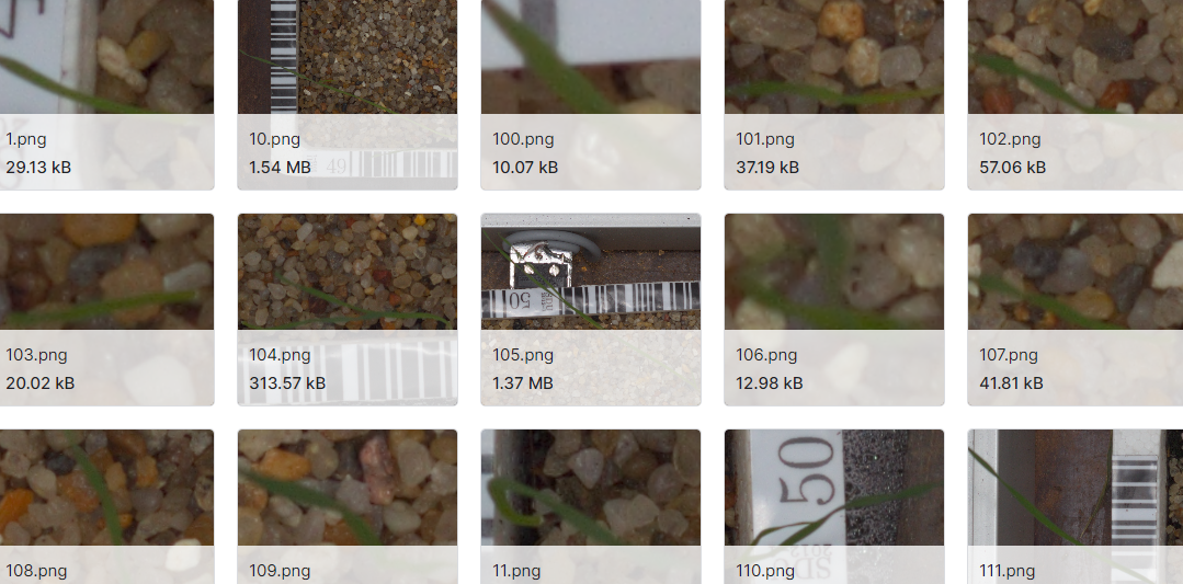 V2植物幼苗数据集