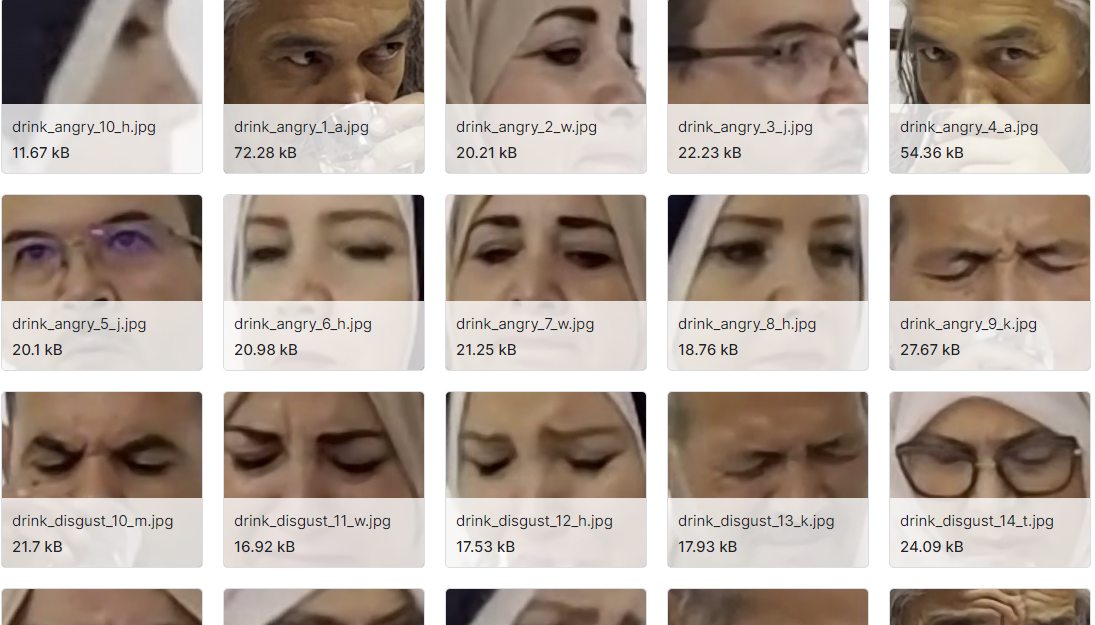 人类行为和情感识别数据集