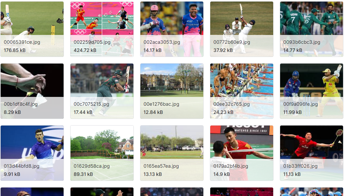 体育图像分类数据集