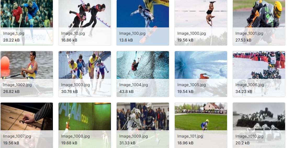 基于计算机视觉的体育主题识别数据集