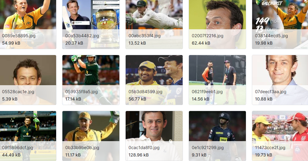 史上最伟大的30位板球运动员的图片数据集