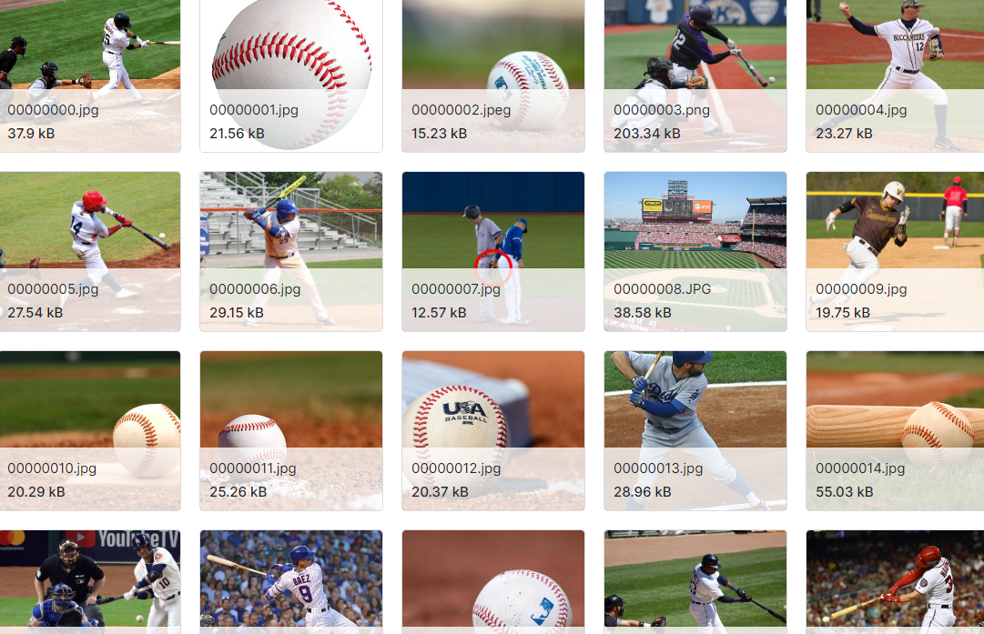 用于图像分类的体育数据集