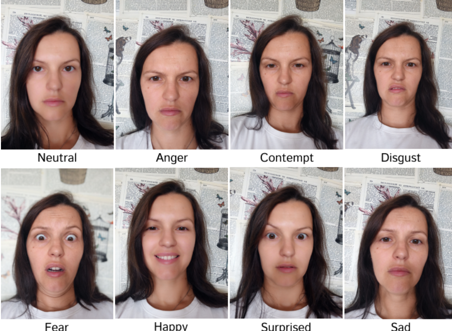 面部情绪识别数据集