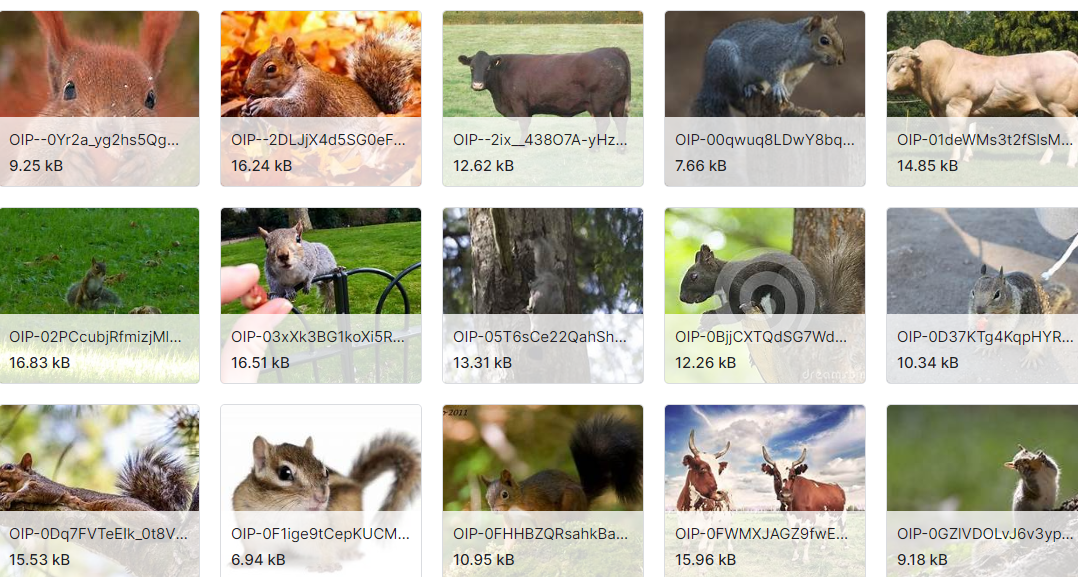 识别动物图片数据集