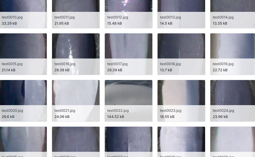 白鲸图像数据集