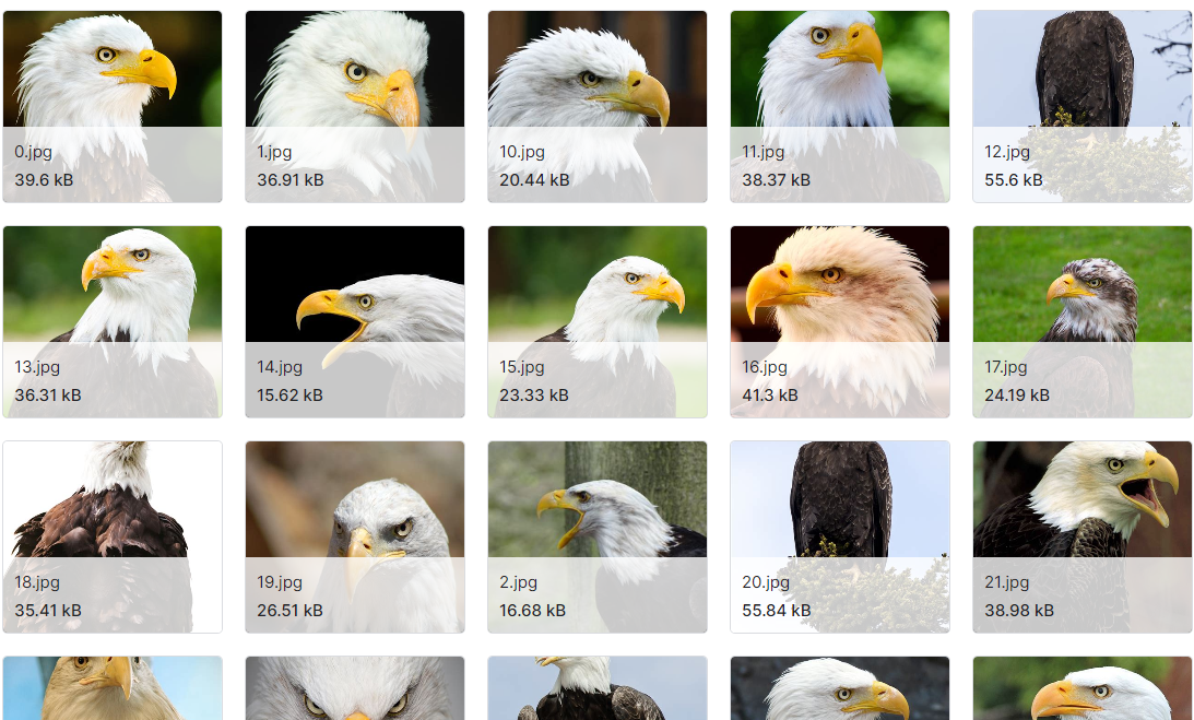 阿尔伯塔省野生动物数据集