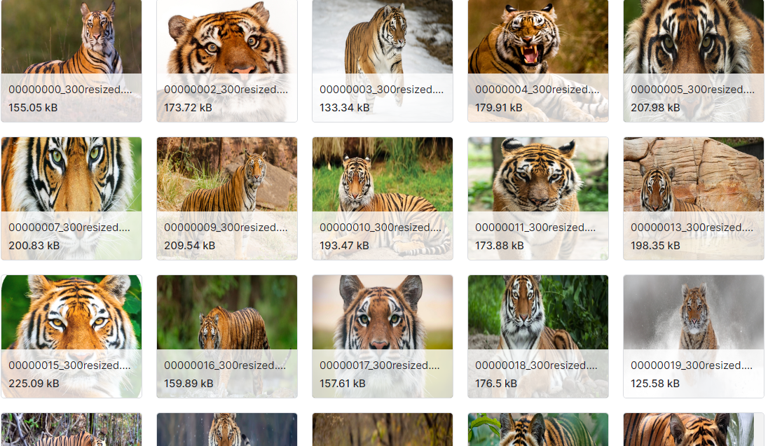 包含野生动物图像的数据集