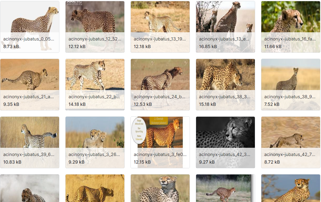 用于图像分类151种动物数据集