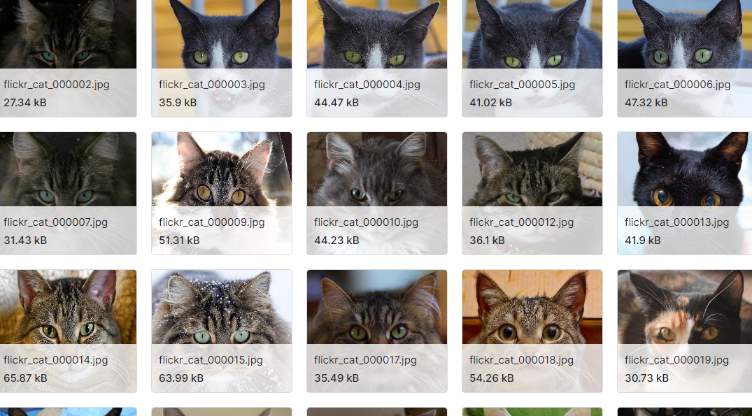 16,130幅动物脸图像数据集