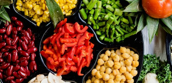 食品营养和成分数据集