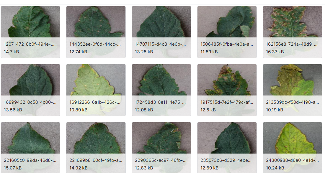 番茄叶部病害检测数据集