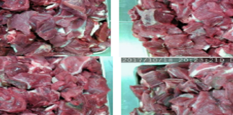 肉类品质评估数据集