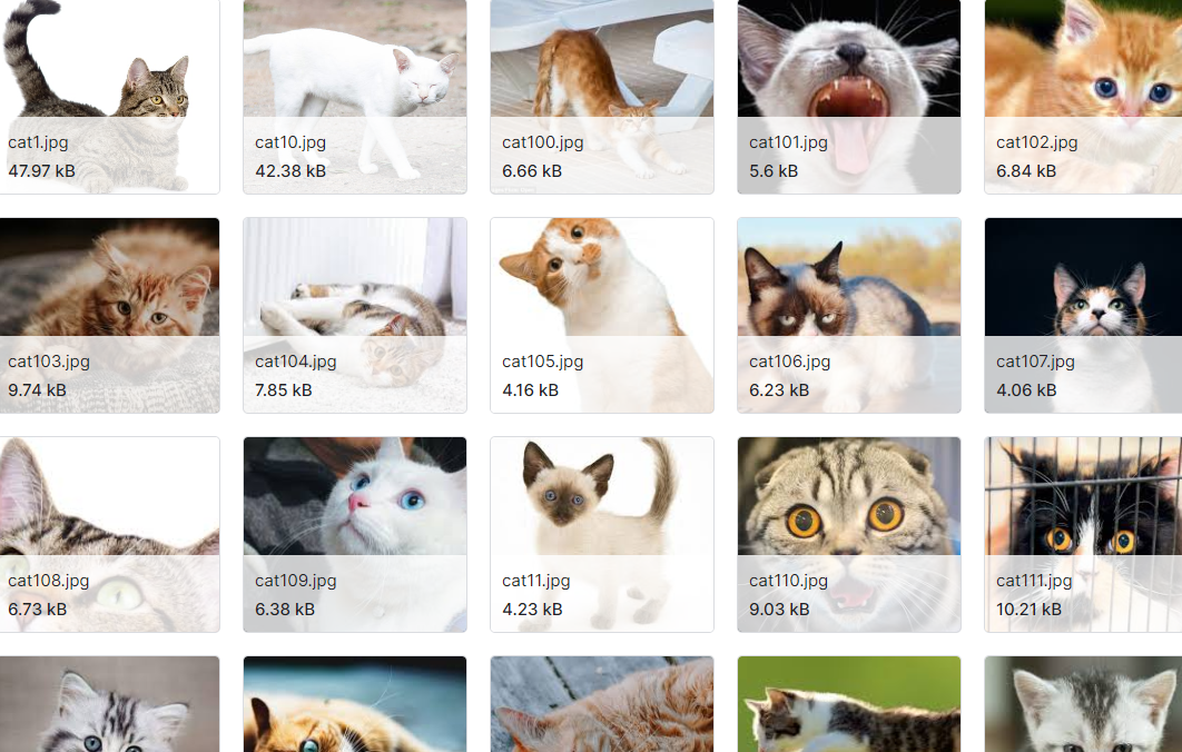 多域图像特征标记数据集