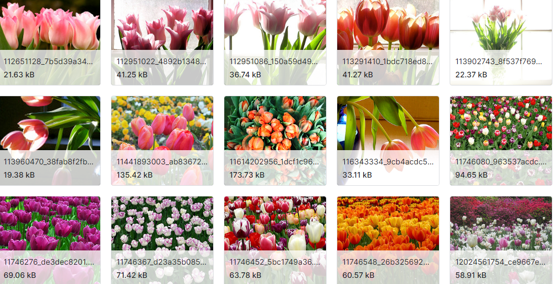 适用于花卉识别系统的数据集