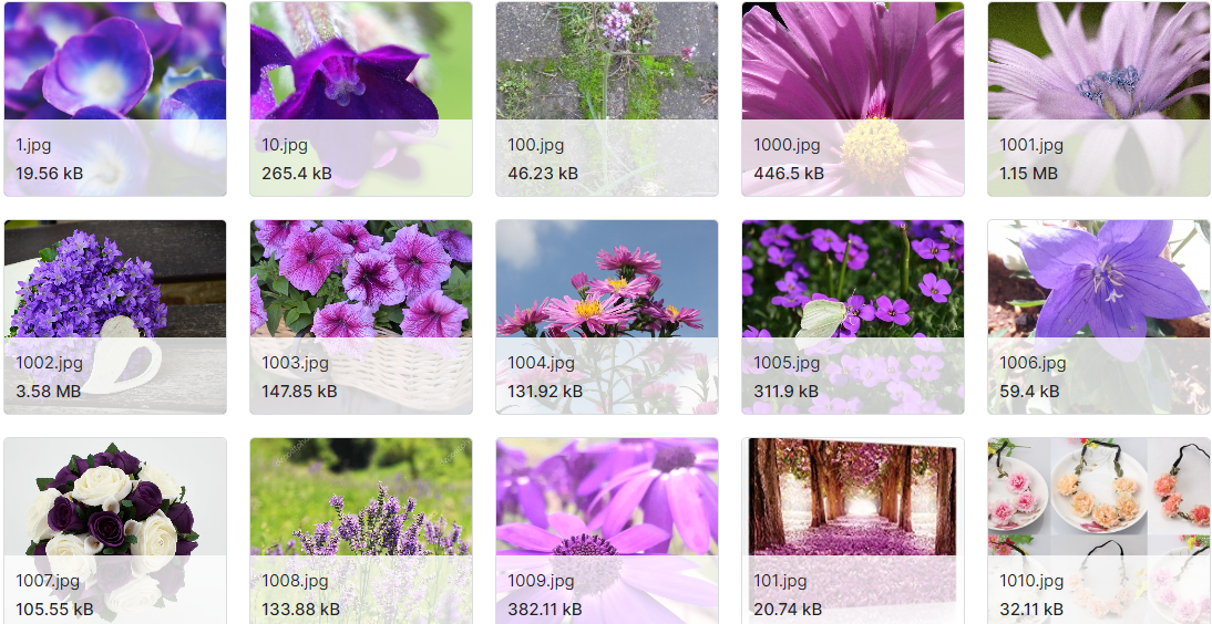 内含5341张紫色花朵照片数据集