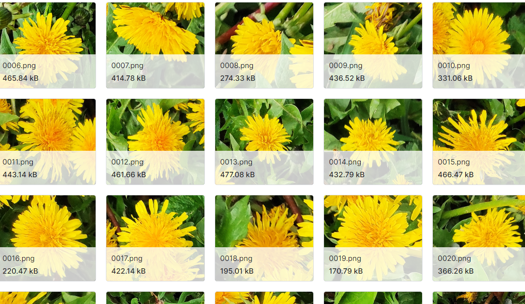 与花朵相关的多样化数据集