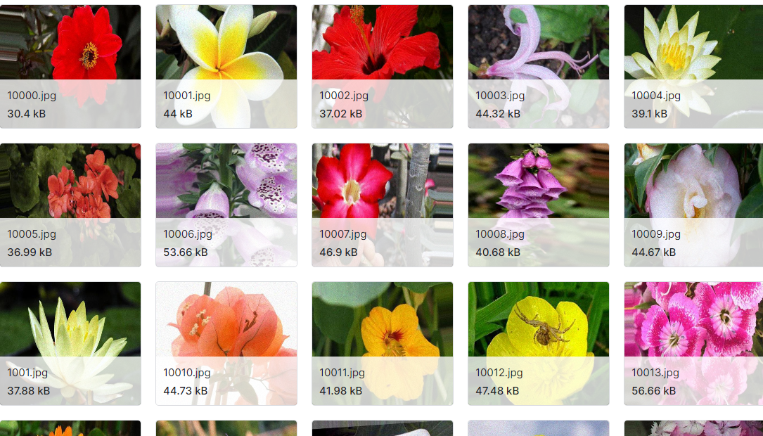 从图像中对花进行分类的数据集