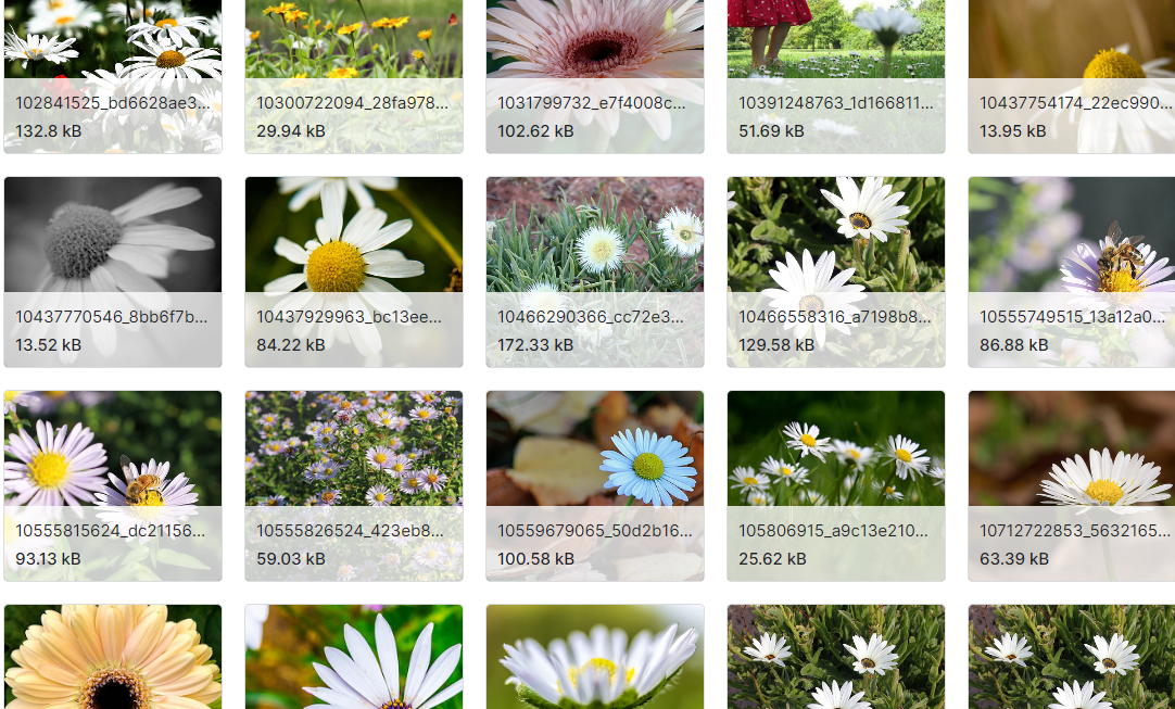 包含标记的4242张花卉图像数据集